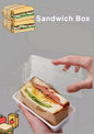 Sandwich Box – Clear Rectangular Lunch Container Unique Fresh and Clean Servings