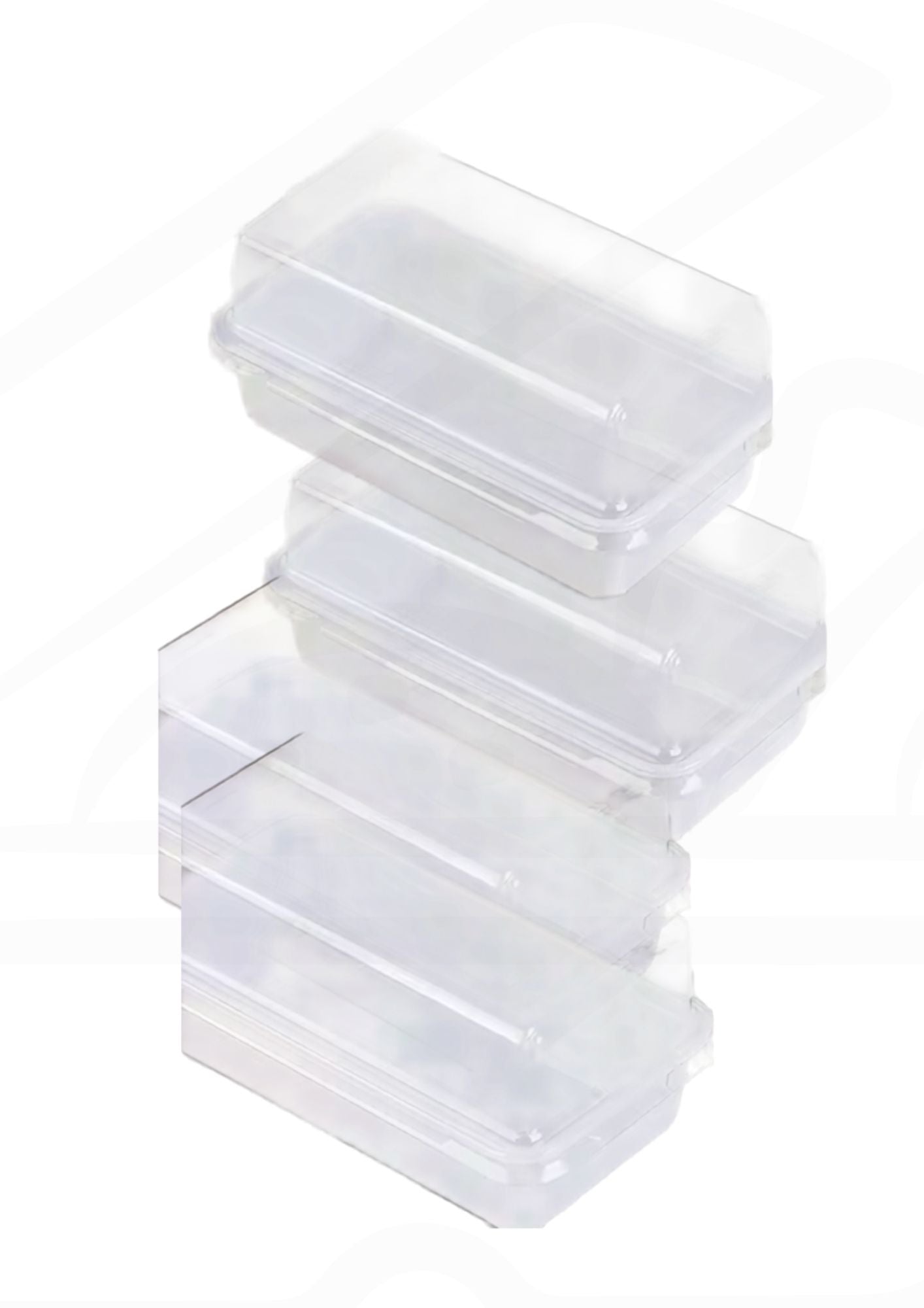 Sandwich Box – Clear Rectangular Lunch Container Unique Fresh and Clean Servings